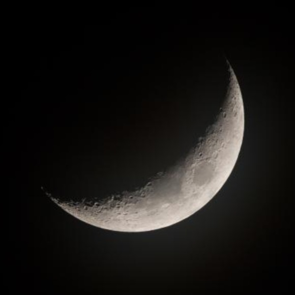 Meet your Posher, James - Picture 1 of 1